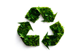 lacres de latinhas podem ajudar na reciclagem