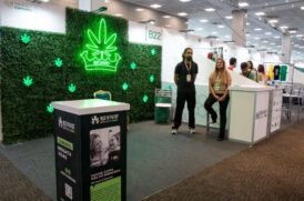 Medical Cannabis Fair acontece em maio em SP