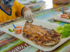Festivais da tainha já tem programação divulgada no Litoral