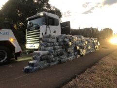 126 pacotes de maconha foram apreendidos pela polícia
