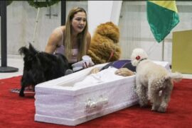 Nahim era apaixonado pelos animais