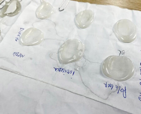 Esses moldes foram encontrados em três das dez cabines vistoriadas