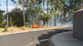 Homem provoca incêndio proposital em mata no interior de São Paulo