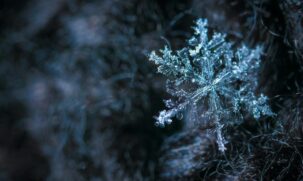 O inverno é sempre a esperança de dias bons para os amantes do frio