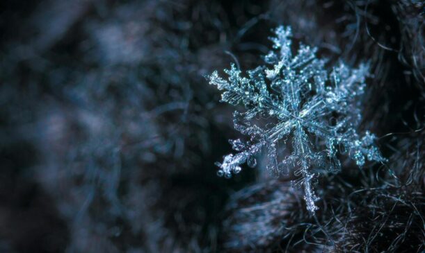 O inverno é sempre a esperança de dias bons para os amantes do frio