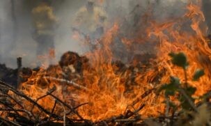 levantamento realizado pelo MapBiomas Fogo aponta que um em cada quatro hectares do Brasil pegou fogo nos últimos 40 anos