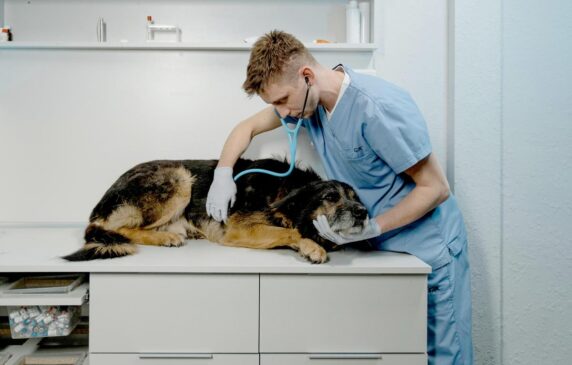 Prefeitura de Taboão da Serra, na região sudoeste da Grande SP, inaugura neste sábado (29) o primeiro Hospital Veterinário Público Municipal