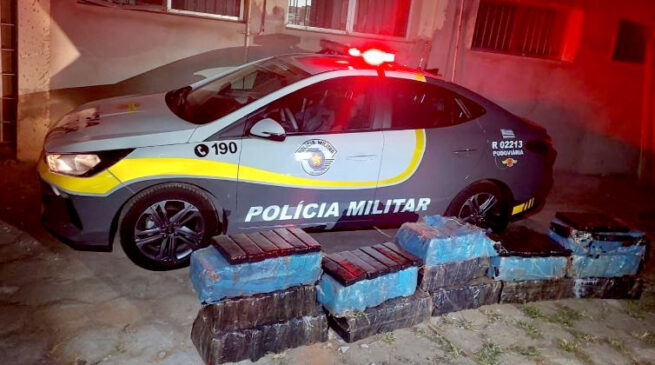 O caminhão foi vistoriado e os agentes encontraram a droga atrás do banco; celular do motorista e R$ 100 em espécie também foram apreendidos na ação