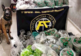 PM desativa duas 'casas bomba' e apreende mais de 90 kg de drogas na zona sul de SP