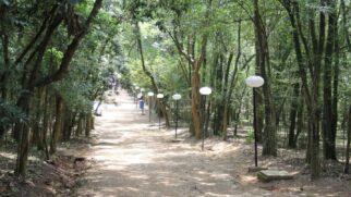 Público pode curtir desde contação de histórias até oficinas de pinturas, tudo isso em contato com a natureza. 