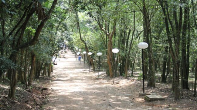 Público pode curtir desde contação de histórias até oficinas de pinturas, tudo isso em contato com a natureza.