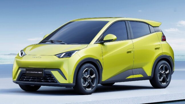 BYD Dolphin Mini cinco lugares