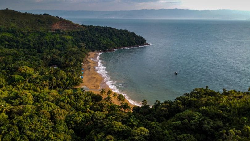 Ilhabela terá seis roteiros gratuitos temáticos, envolvendo observação de aves e trilhas. / Foto: Divulgação