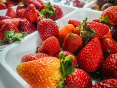 Festa do Morango traz opções diversas com a fruta