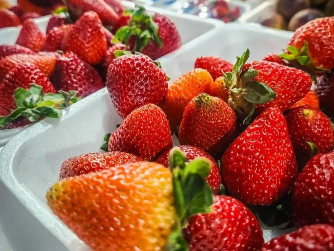Festa do Morango traz opções diversas com a fruta