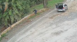 Mulher arremessou filhotes de cachorro e abandonou os animais em uma estrada em Itapetininga