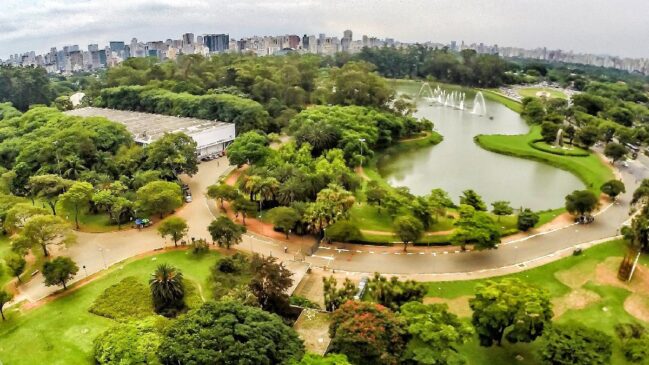 3° edição do concurso de fotografia do Parque Ibirapuera acontece até o fim do mês de julho