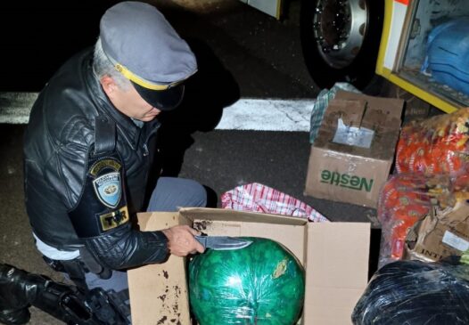 Agentes da Polícia Rodoviária durante a apreensão