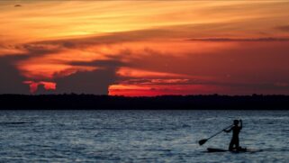 Amazônia pode deixar de existir, revela Nasa