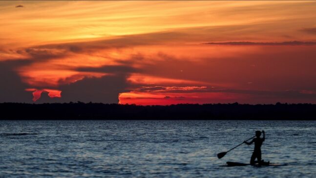Amazônia pode deixar de existir, revela Nasa