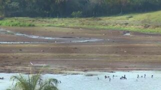 Represa Cotrins, em Artur Nogueira, registra 15% de capacidade; saiba qual