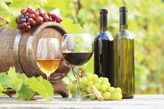 Consumo de vinho no Brasil cresceu 11,6% entre 2022 e 2023