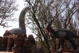 O parque está localizado no município de Salto, em São Paulo