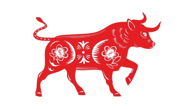 Conheça as características do boi no horóscopo chinês