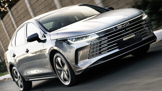BYD King