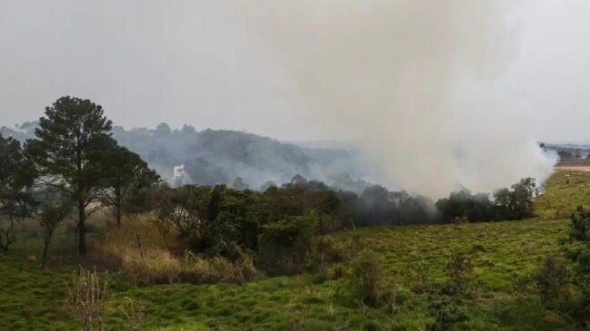Focos de incêndio se espalharam por várias cidades do interior de São Paulo