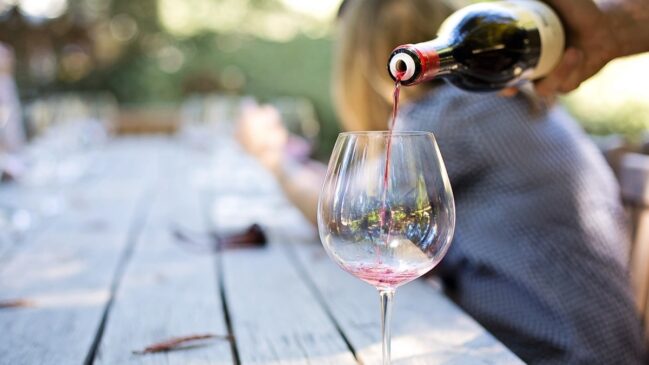 Além de provar vinhos, os visitantes podem passear pelos vinhedos e relaxar em um piquenique entre os parreirais.