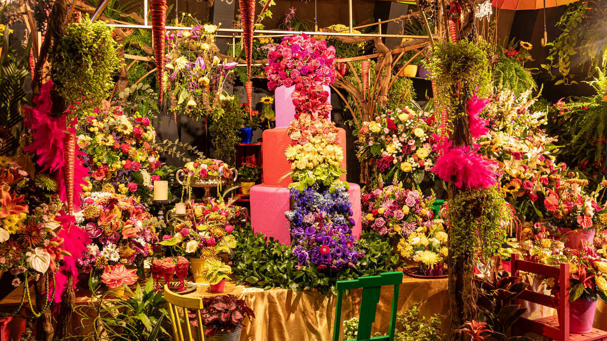 Festival Expoflora ocorre anualmente na cidade de Holambra