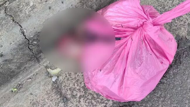 Os fetos foram achados em uma sacola de cidade do interior de SP