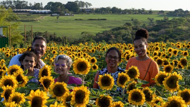 Holambra vai promover a 41ª edição da Expoflora entre 30 de agosto a 29 de setembro