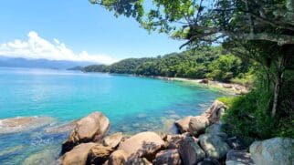 Local, chamado de 'Ilha das Couves', é perfeito para as famílias que buscam lazer, relaxar e oportunidade de mergulhar com profissionais.