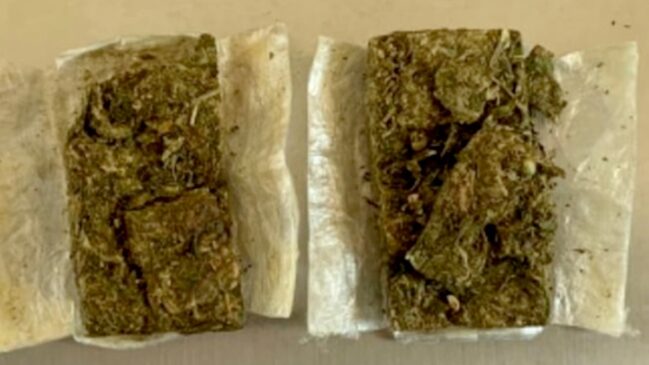 Foram apreendidas cerca de 29 gramas de maconha