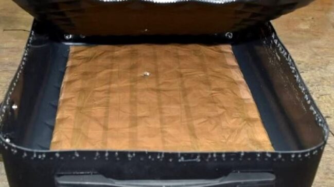 Uma mulher da África do Sul transportava mais de um quilo de cocaína em um fundo falso de sua mala
