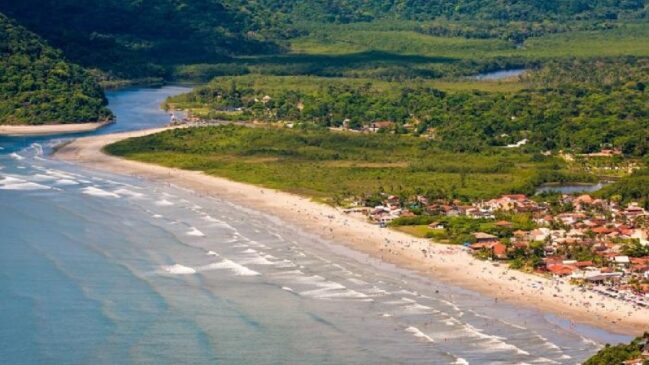 Maré Vermelha é detectada no litoral de SP
