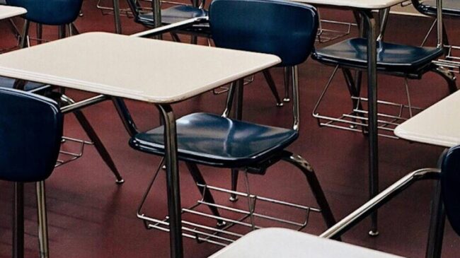 Políticas públicas sérias na área de educação não alcançam o devido êxito sem metas e uma gestão séria