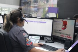 Projeto 'Cabine Lilás' é um dos oferecidos pelo Governo de SP