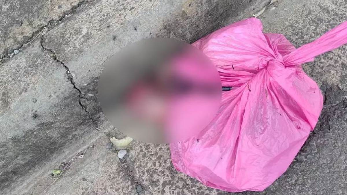 Moradora encontrou sacola com fetos