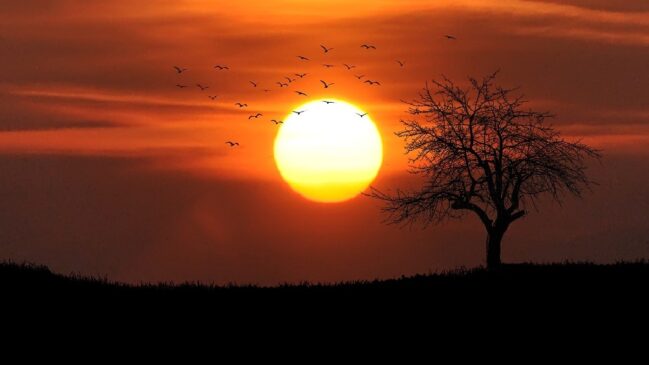 Algumas regiões terão temperaturas até 7,5°C acima da média histórica durante o mês de setembro