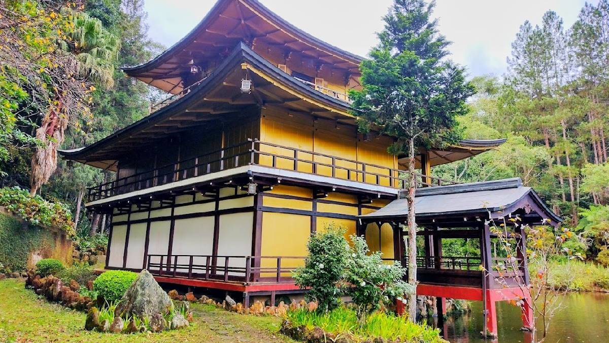 Templo Kinkaku-ji do Brasil possui um lago deslumbrante povoado por carpas coloridas