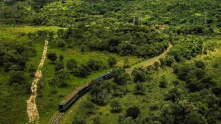 Durante o caminho, os passageiros do Trem Republicano ouvem histórias e curiosidades dos locais, além de poderem apreciar a paisagem