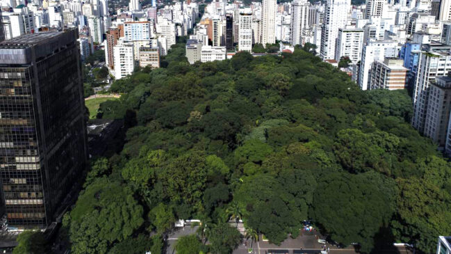 Estudo inédito aponta que SP possui 73,3 milhões de m² de áreas verdes informais