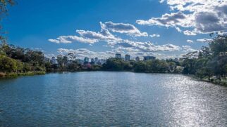 Segundo dados da Urbia, cerca de 16,5 milhões de pessoas passaram pelo Parque Ibirapuera no ano de 2023