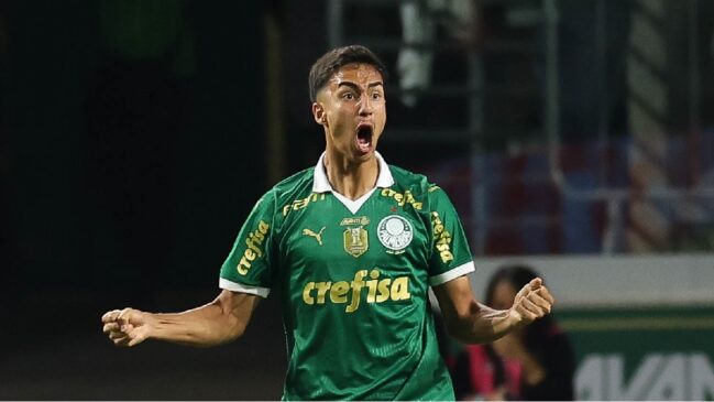 Palmeiras enfrenta o Flamengo, neste domingo, pelo Brasileirão Série A