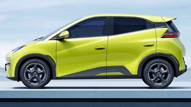Dolphin Mini em primeiro, com 2.298 emplacamentos, e o Dolphin EV em segundo (1.056)
