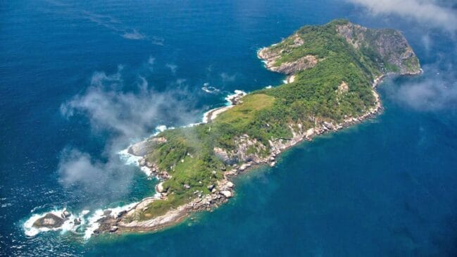 O litoral paulista abriga uma das ilhas considerada um dos lugares mais perigosos do mundo: a Ilha da Queimada Grande. O local é repleto de serpentes E possui a segunda maior concentração da espécie em todo o planeta. A visitação é proibida - (João Marcos Rosa/Ministério do Meio Ambiente)