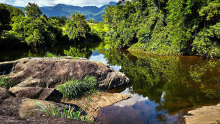 Localizada entre o litoral sul de São Paulo e o Vale do Ribeira, a cidade de Itariri encanta turistas como uma opção de